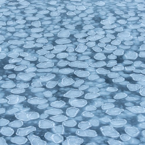 SAGE Hero 20220226-DSC_7545 Olaf Schneider