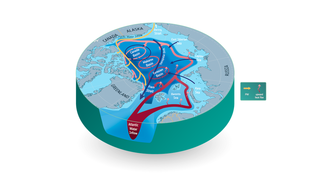 Circulation of the surface water (blue), intermediate Pacific Water (pink/blue), and Atlantic Water (red) of the Arctic Ocean. Adapted from Carmark et al (2015); 10.1175/BAMS-D-13-00177.1