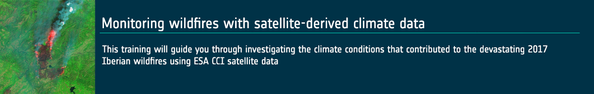 Monitoring wildfires with satellite-derived climate data