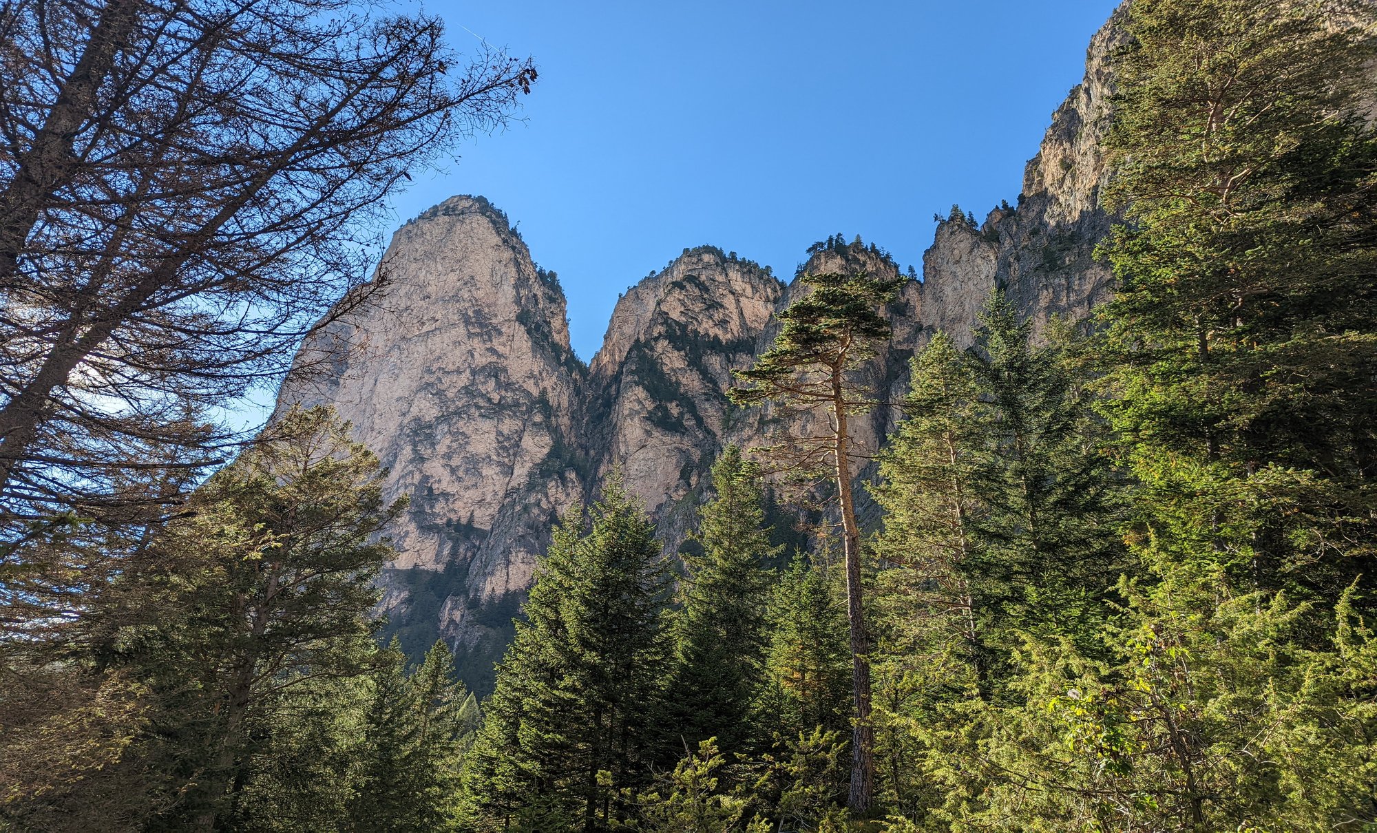 Biomass Change (2022)