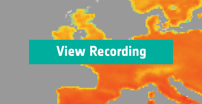 View Recording