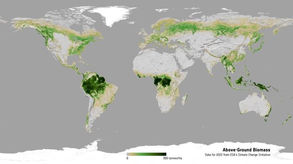 biomass map