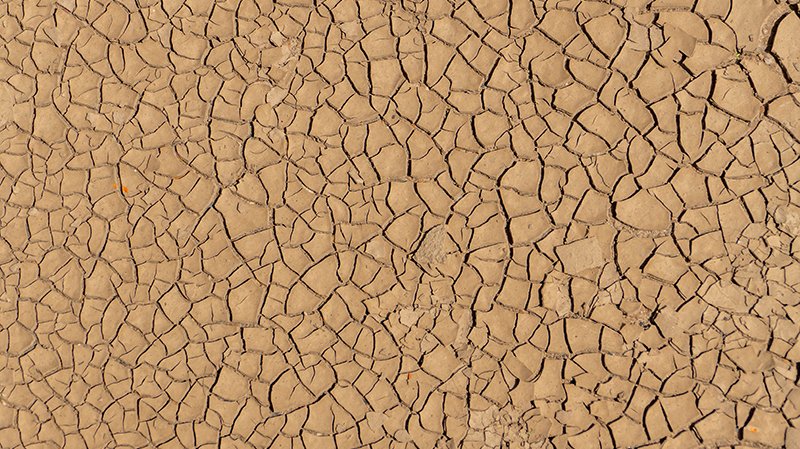Image of cracked dry earth